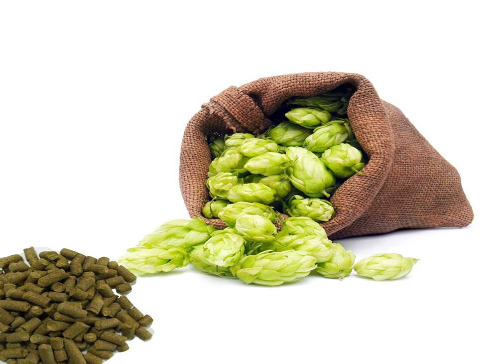 <b>Hops, What Are They In Commercial Beer Brewing System</b>